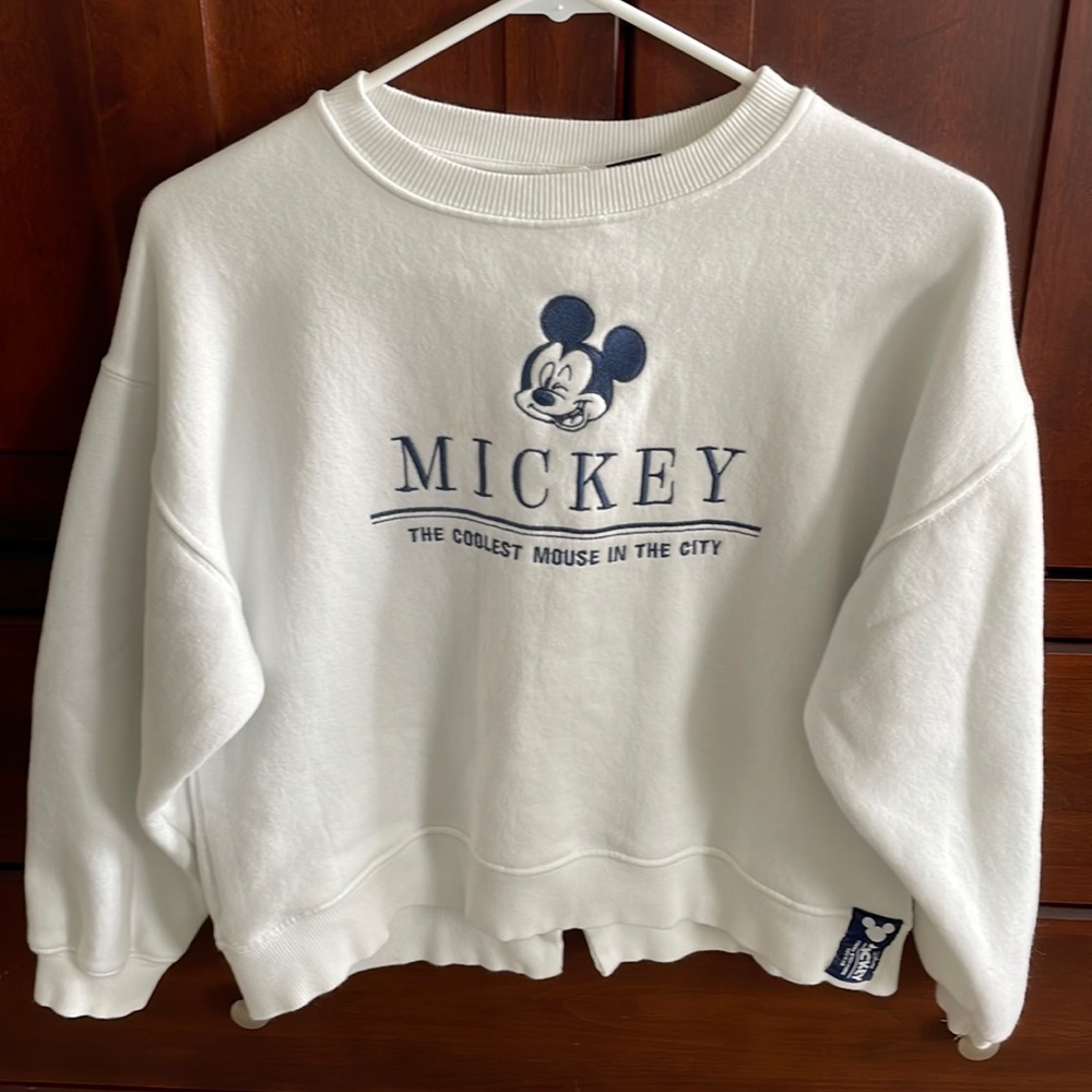 Zara Disney sweatshirt